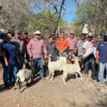 Impulsan evaluación reproductiva de sementales caprinos en Jaumave